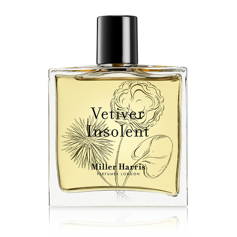 Vetiver Insolent