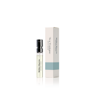 Hydra Figue Layering Set