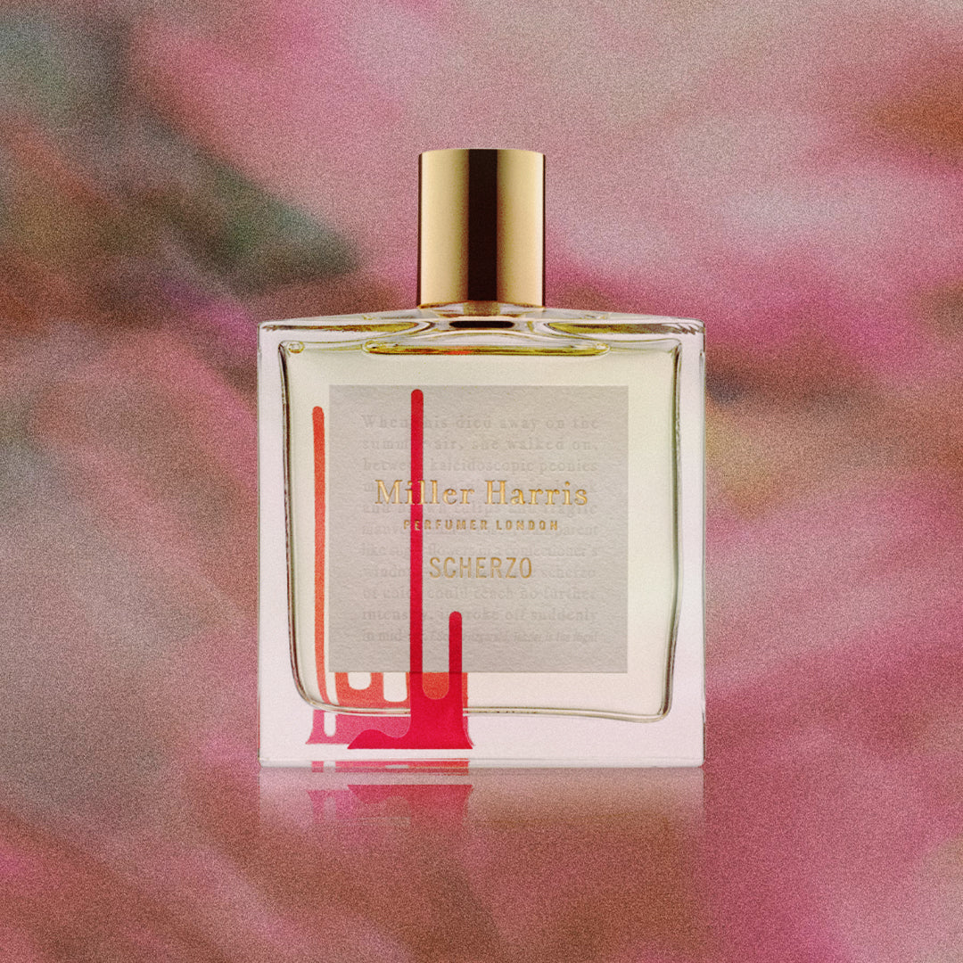 Discovery Set | Miller Harris – Miller Harris US