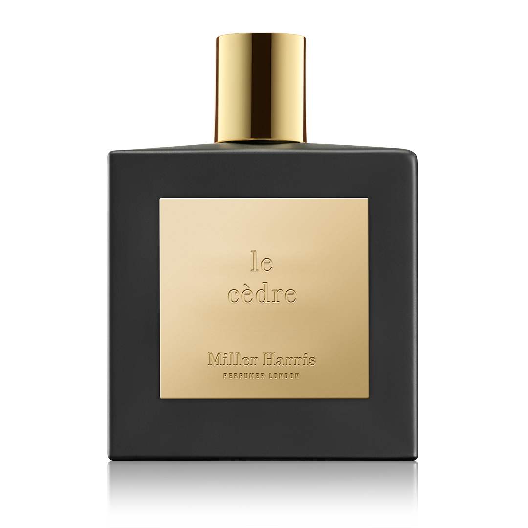 Black dress parfum hotsell